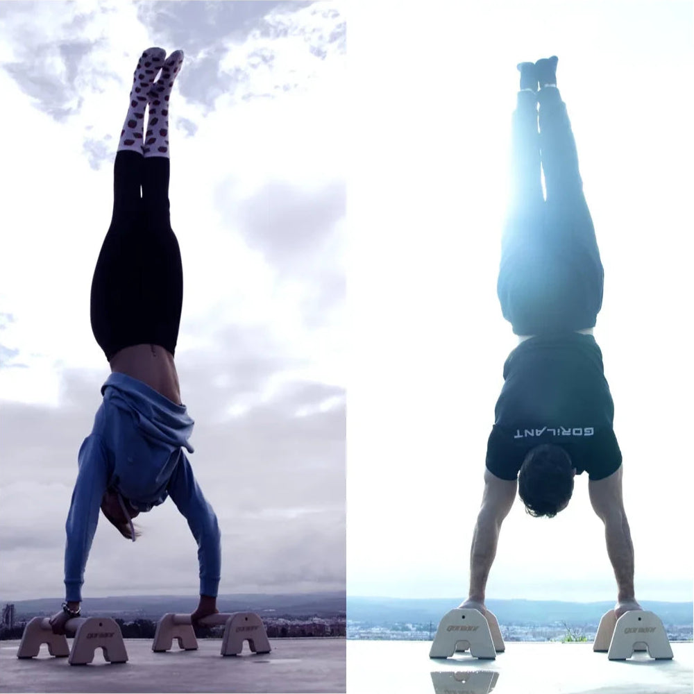 54999343333762,54999343399298,55668900233602,55668900266370